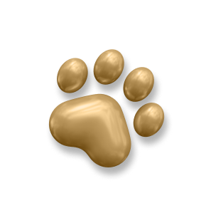 paw